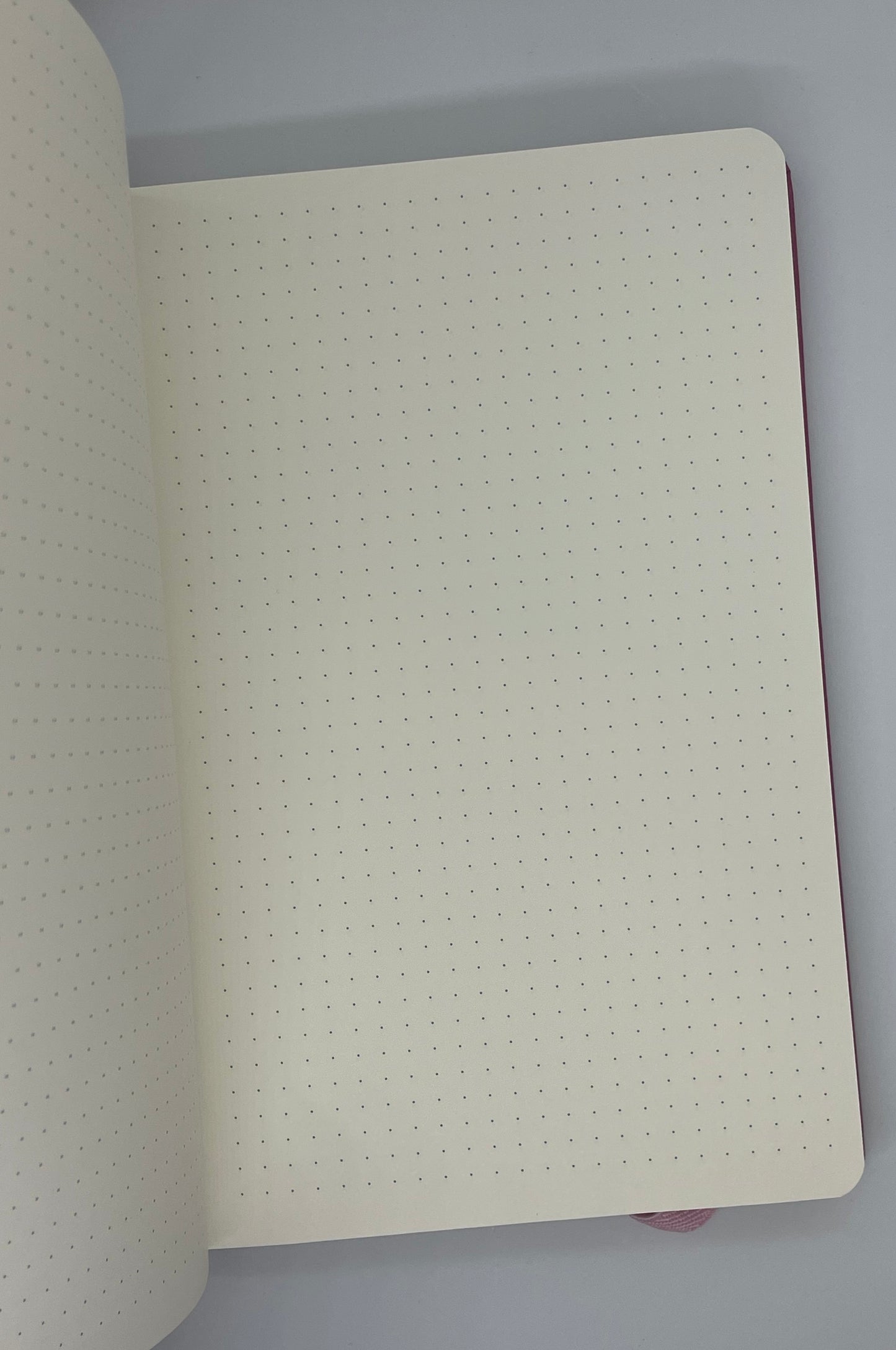 Notebook A5 "Parrot"